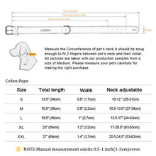 Load image into Gallery viewer, Custom Dog Leather Collars