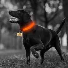 Load image into Gallery viewer, Nylon LED Pet dog Collar
