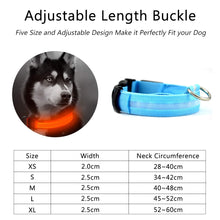 Load image into Gallery viewer, Nylon LED Pet dog Collar
