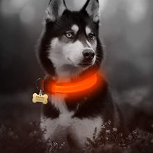 Load image into Gallery viewer, Nylon LED Pet dog Collar
