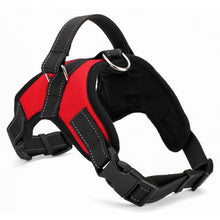 Load image into Gallery viewer, Dog Soft Adjustable Harness
