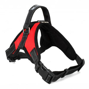 Dog Soft Adjustable Harness