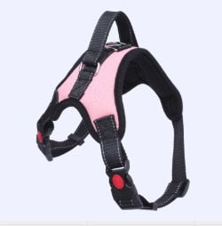 Dog Soft Adjustable Harness