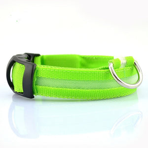 Nylon LED Pet dog Collar