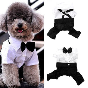 Tuxedo bow tie suit