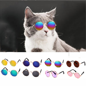 Pet sunglasses