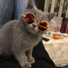 Load image into Gallery viewer, Pet sunglasses
